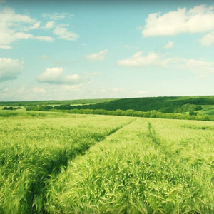 男子操大胸美女
